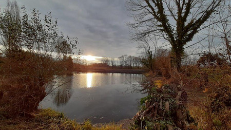 Gellerteich nach Entschlammung mit wiederhergestellter Wasserfläche