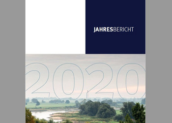 Jahresbericht 2020