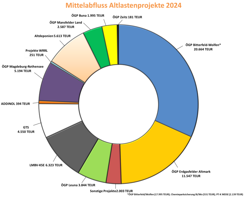 Mittelabfluss 2024 nach Projekten in Tausend EUR