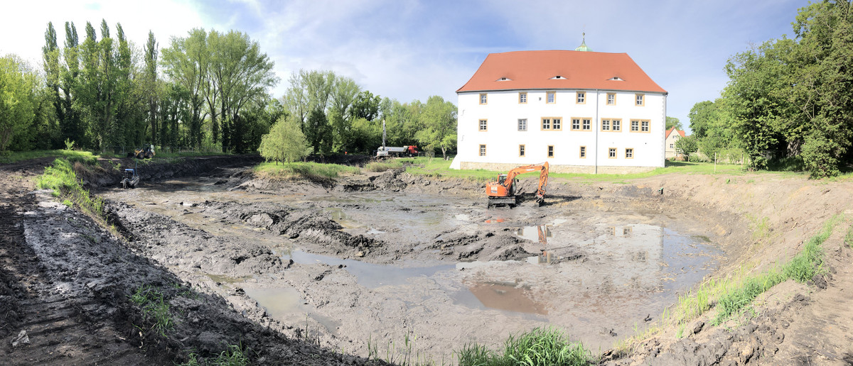 Ökologische Aufwertung des Schlossteiches Frankleben